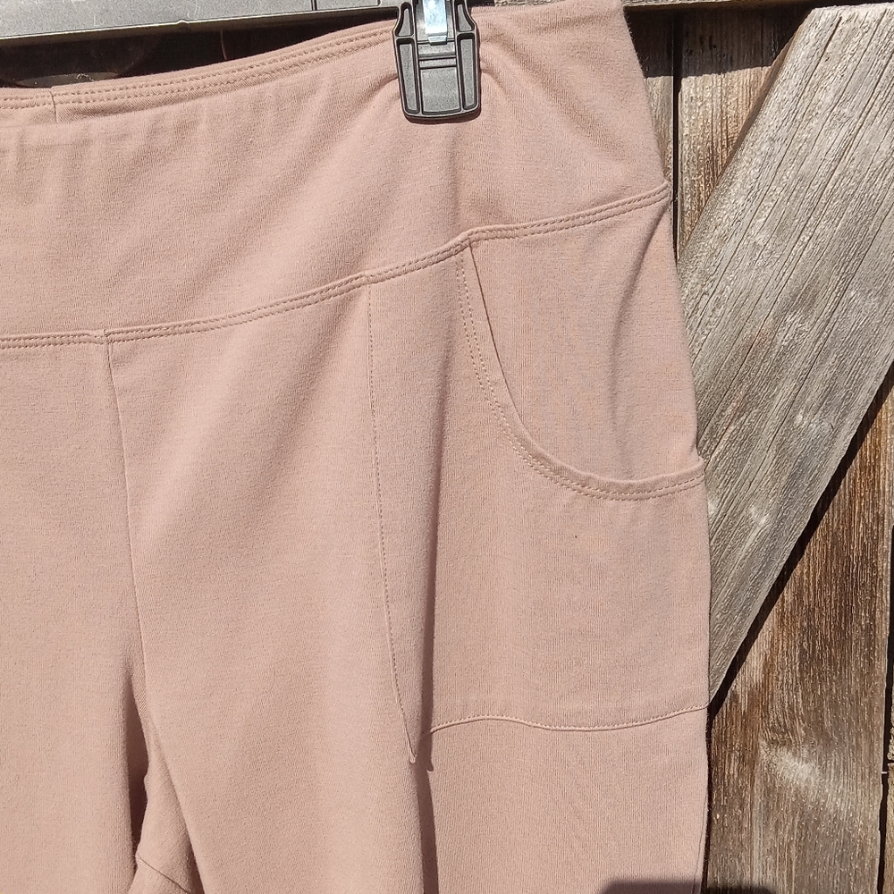 NWOT Wicked by Women with Control Petite Ankle Pants, PL - Picture 4 of 4